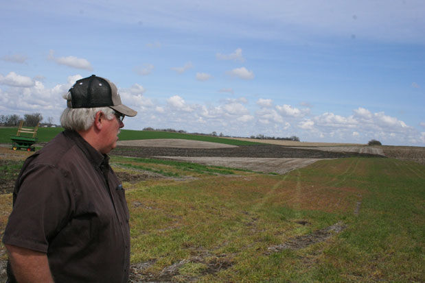 Carl Eliason rye field